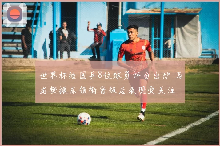 世界杯给国乒8位球员评分出炉 马龙樊振东领衔晋级后表现受关注