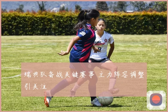 瑞典队备战关键赛事 主力阵容调整引关注