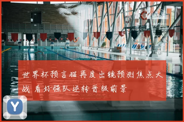 世界杯预言猫再度出镜预测焦点大战 看好强队逆转晋级前景