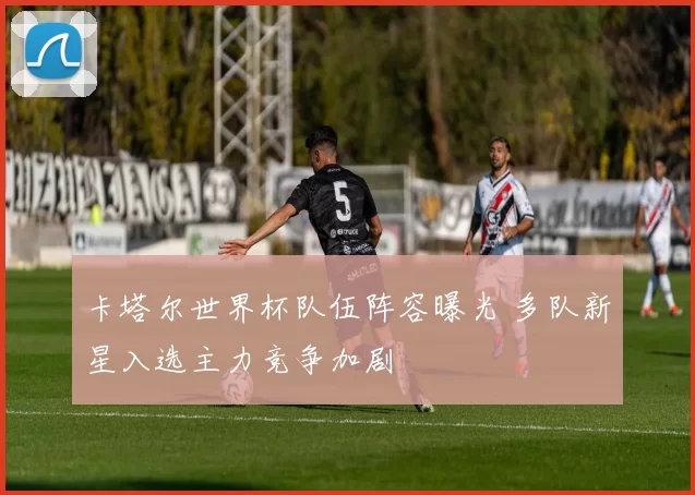 卡塔尔世界杯队伍阵容曝光 多队新星入选主力竞争加剧