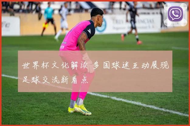 世界杯文化解读 多国球迷互动展现足球交流新看点