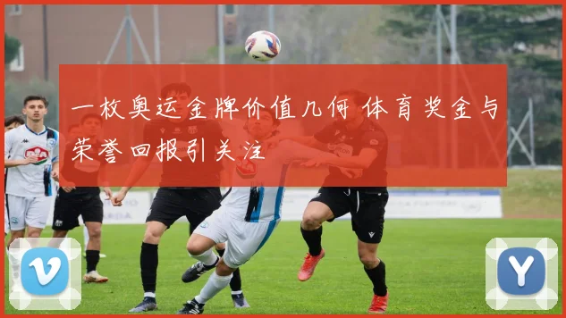 一枚奥运金牌价值几何 体育奖金与荣誉回报引关注
